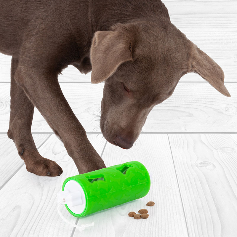 edupet dog toys and feeding accessories