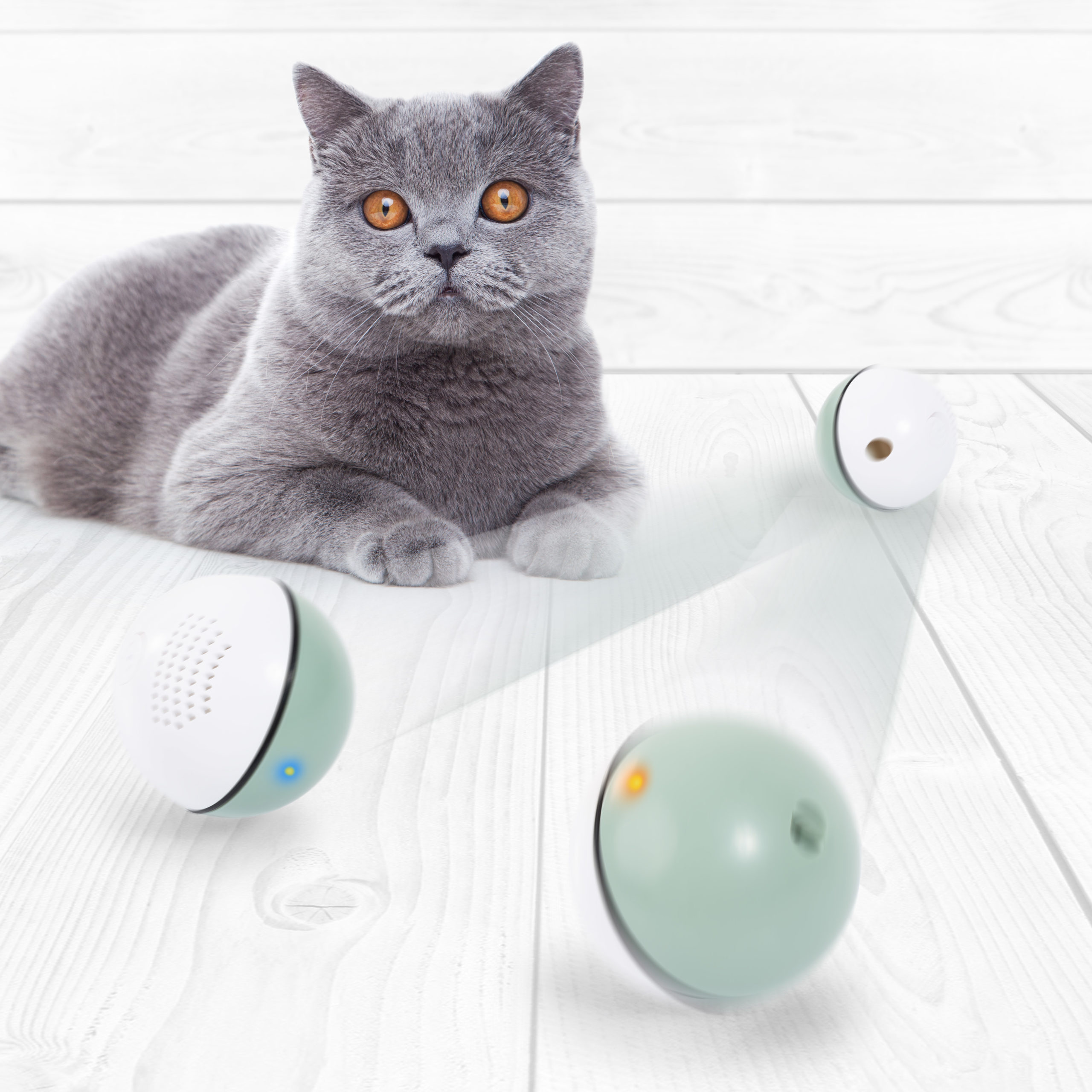 edupet Catlove toys for cats