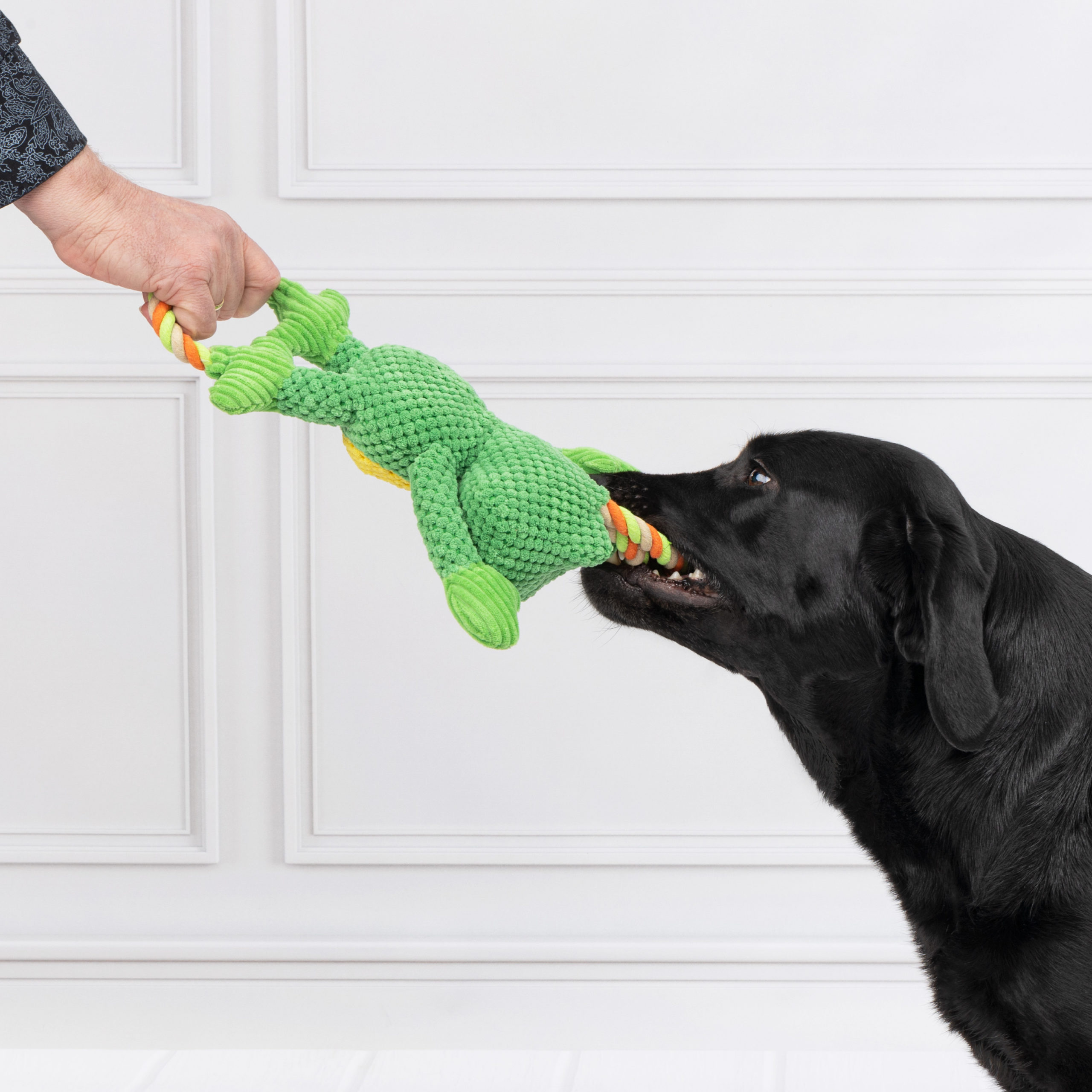 edupet Doglove toys for dogs