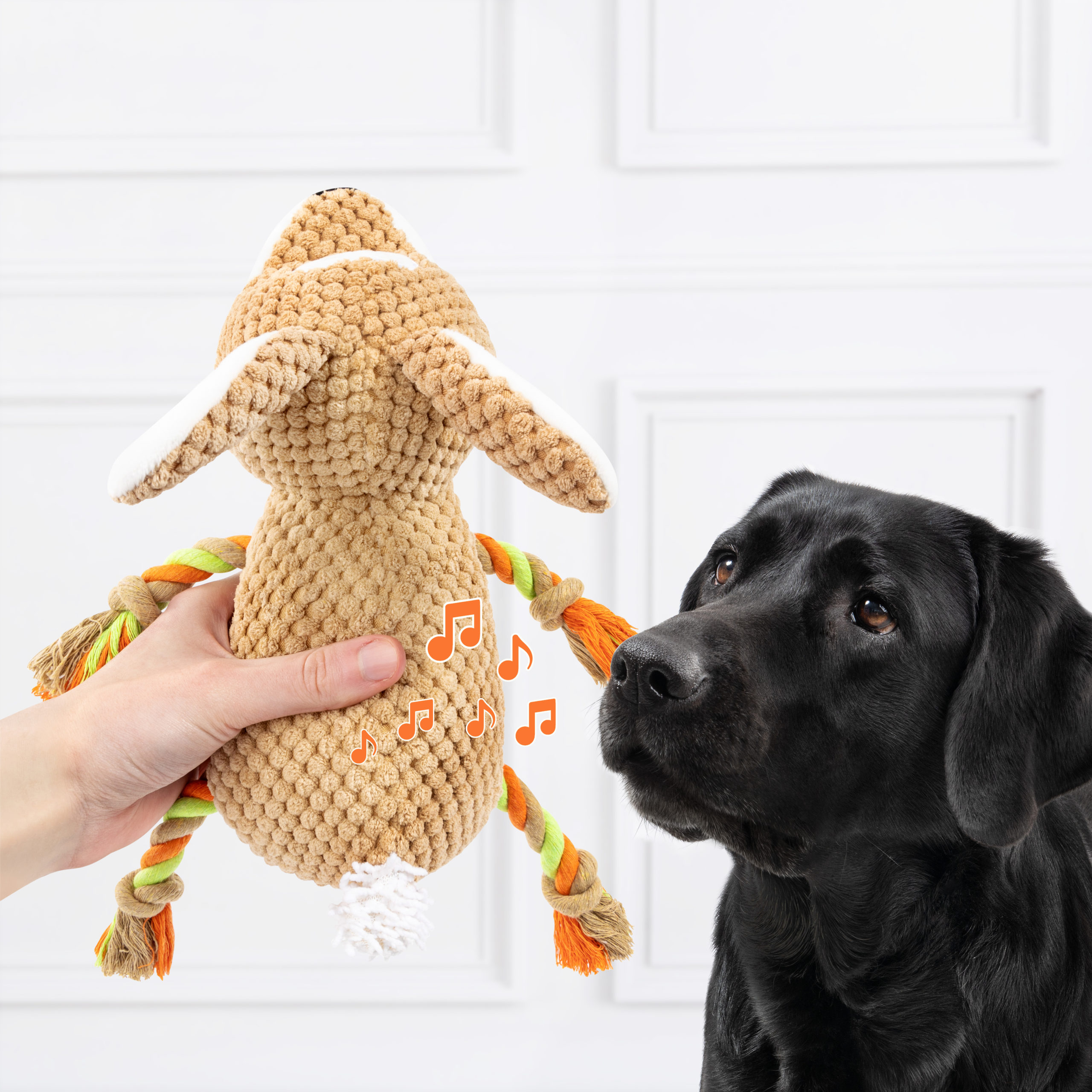 edupet Doglove toys for dogs